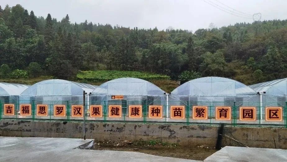 桂林吉福思罗汉果有限公司