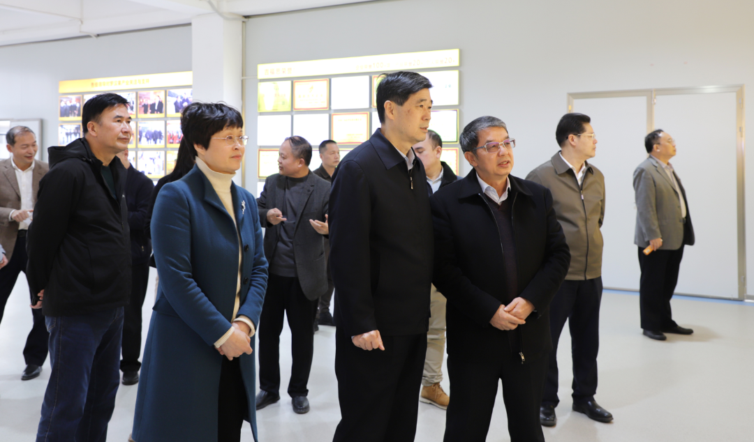 桂林吉福思罗汉果有限公司