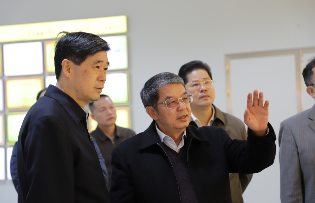 桂林吉福思罗汉果有限公司