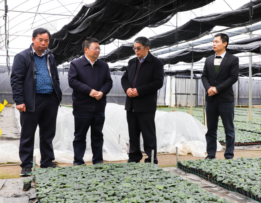 桂林吉福思罗汉果有限公司