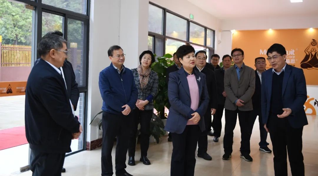 桂林吉福思罗汉果有限公司